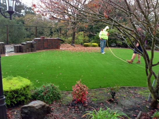 Artificial Grass Photos: Fake Turf Fayetteville, Arkansas Landscape Ideas, Backyard