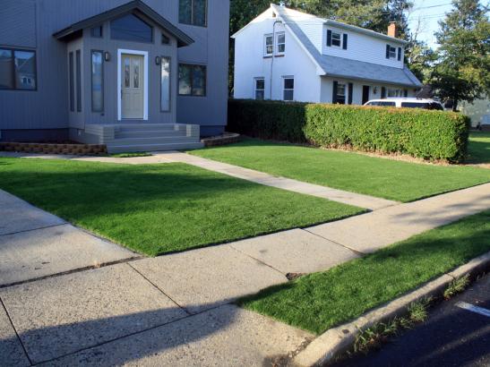 Artificial Grass Photos: Fake Turf Gulfport, Mississippi Lawns, Front Yard Landscape Ideas