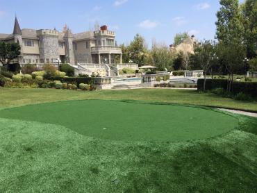 Fake Turf Las Vegas, Nevada Putting Green Carpet, Front Yard artificial grass