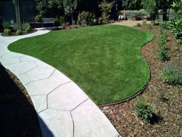 Artificial Grass Photos: Fake Turf Midland, Texas Lawn And Garden, Small Front Yard Landscaping