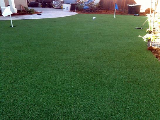 Artificial Grass Photos: Fake Turf Milpitas, California Backyard Deck Ideas, Backyard Design