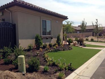 Artificial Grass Photos: Fake Turf Palm Bay, Florida Lawn And Garden, Landscaping Ideas For Front Yard