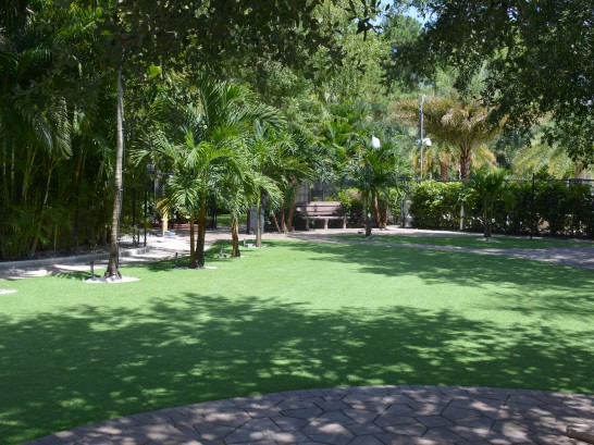Artificial Grass Photos: Fake Turf The Villages, Florida Landscape Design, Commercial Landscape