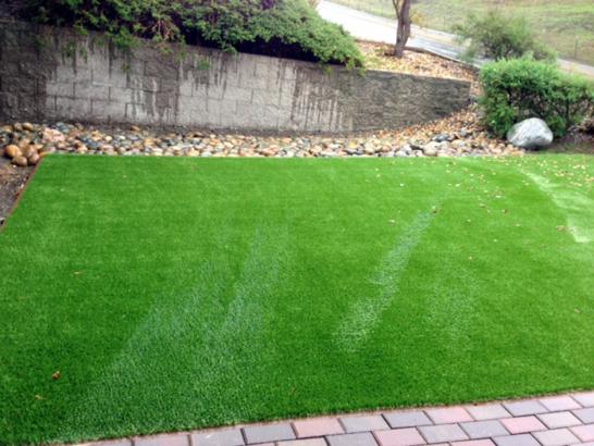 Artificial Grass Photos: Fake Turf Yorba Linda, California Gardeners, Front Yard Design