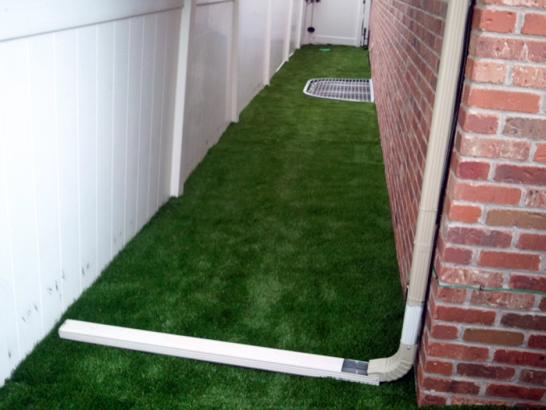 Artificial Grass Photos: Faux Grass Avondale, Arizona Garden Ideas, Backyard