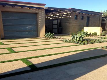 Artificial Grass Photos: Faux Grass Clinton, Michigan Gardeners, Front Yard Landscaping Ideas