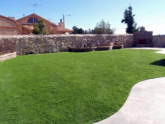 Artificial Grass Photos: Faux Grass Delray Beach, Florida Rooftop, Backyard Landscaping