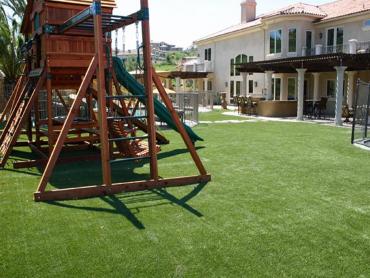 Artificial Grass Photos: Faux Grass Des Moines, Iowa Rooftop, Backyard Landscaping Ideas