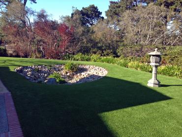 Faux Grass Fresno, California Landscape Rock, Backyard Ideas artificial grass