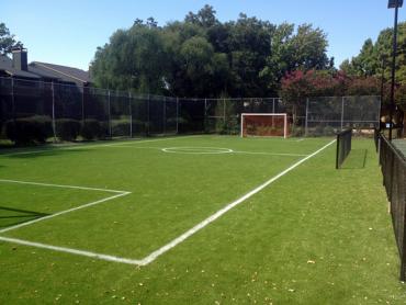 Artificial Grass Photos: Faux Grass Jamaica, New York Stadium, Commercial Landscape