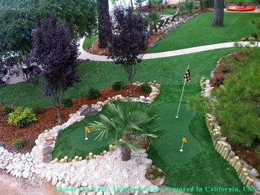 Artificial Grass Photos: Faux Grass New York City, New York How To Build A Putting Green, Backyard Garden Ideas