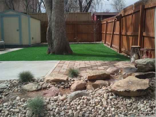 Artificial Grass Photos: Faux Grass Normal, Illinois Backyard Playground, Backyards