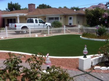 Artificial Grass Photos: Faux Grass Overland Park, Kansas Landscaping, Front Yard Ideas