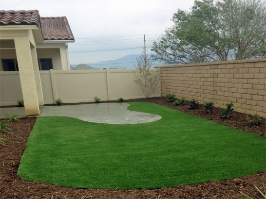 Artificial Grass Photos: Faux Grass Paramount, California Landscaping Business, Backyard Design