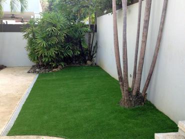 Artificial Grass Photos: Faux Grass Parma, Ohio Paver Patio, Backyard Landscape Ideas