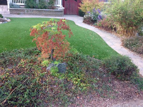 Artificial Grass Photos: Faux Grass Warner Robins, Georgia Backyard Playground, Front Yard