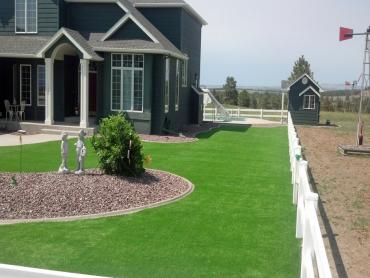 Artificial Grass Photos: Faux Grass West Jordan, Utah Backyard Deck Ideas, Front Yard Landscaping Ideas