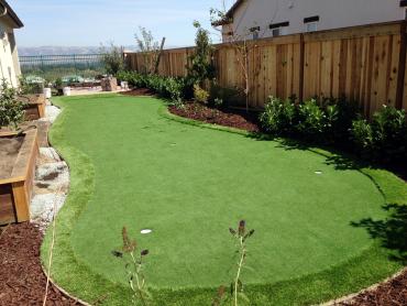 Artificial Grass Photos: Faux Grass Yakima, Washington Home And Garden, Backyard Designs