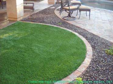 Artificial Grass Photos: Grass Carpet Austin, Texas Dog Grass, Landscaping Ideas For Front Yard