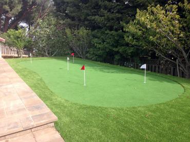 Artificial Grass Photos: Grass Carpet Bloomington, Indiana Outdoor Putting Green, Backyard Design