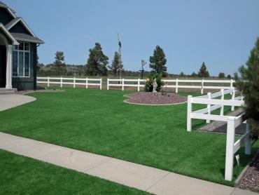 Artificial Grass Photos: Grass Carpet Centennial, Colorado Landscape Photos, Landscaping Ideas For Front Yard