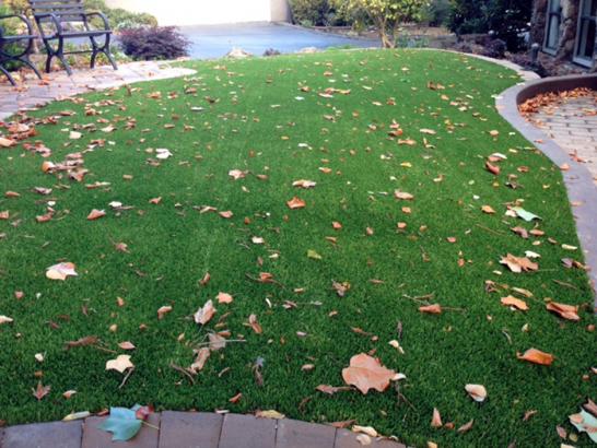 Artificial Grass Photos: Grass Carpet Davis, California Landscape Ideas, Front Yard