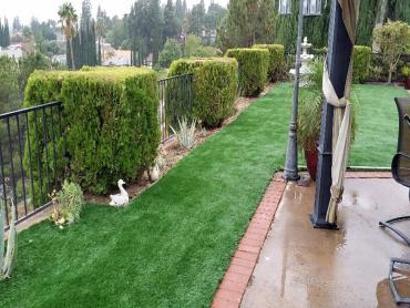 Artificial Grass Photos: Grass Carpet Deltona, Florida Lawn And Landscape, Backyard Makeover