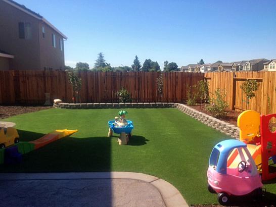 Artificial Grass Photos: Grass Carpet Dothan, Alabama Kids Indoor Playground, Backyard Makeover