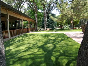 Artificial Grass Photos: Grass Carpet Downey, California Lawn And Landscape, Backyard Landscaping Ideas