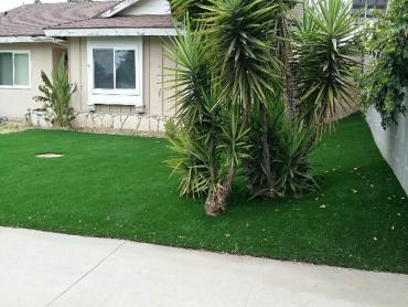 Artificial Grass Photos: Grass Carpet Hawthorne, California Backyard Playground, Front Yard Landscape Ideas
