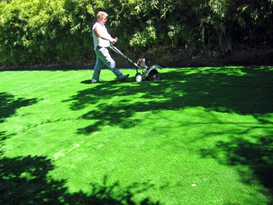 Artificial Grass Photos: Grass Carpet Kalamazoo, Michigan Roof Top, Beautiful Backyards