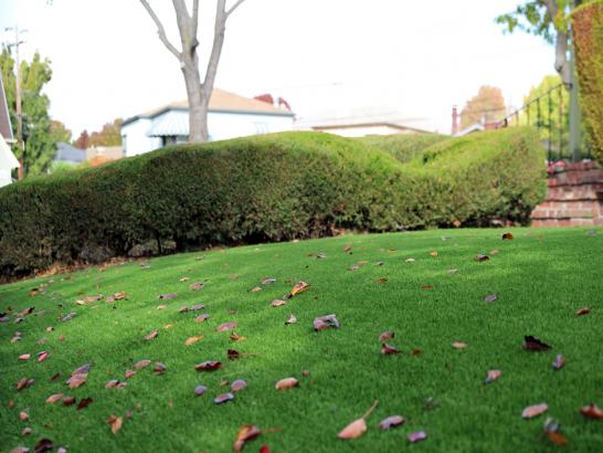 Artificial Grass Photos: Grass Carpet Lodi, California Landscape Rock, Front Yard Landscaping Ideas