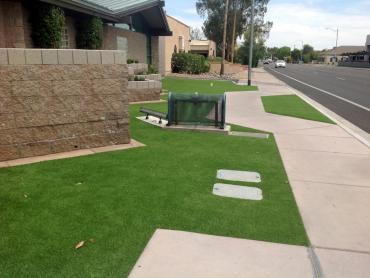 Artificial Grass Photos: Grass Carpet Mission, Texas Landscape Ideas, Front Yard Design