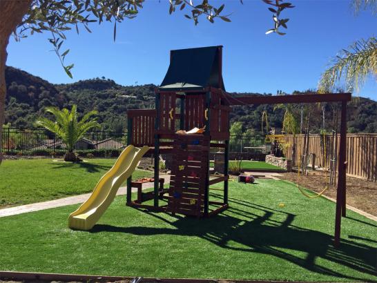 Artificial Grass Photos: Grass Carpet Petaluma, California Home And Garden