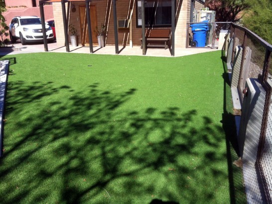 Artificial Grass Photos: Grass Carpet Port Charlotte, Florida Home And Garden, Backyards