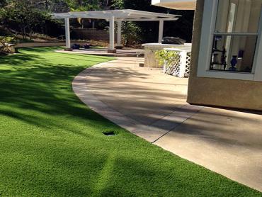 Artificial Grass Photos: Grass Carpet Port Saint Lucie, Florida Dog Run, Front Yard Ideas