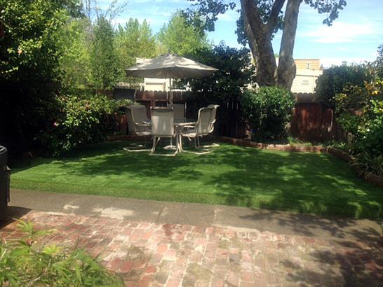 Artificial Grass Photos: Grass Carpet Redondo Beach, California Rooftop, Backyard Makeover