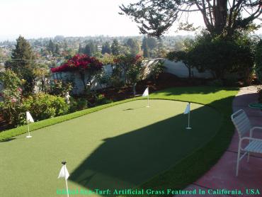 Artificial Grass Photos: Grass Carpet San Diego, California Office Putting Green, Backyard Landscaping Ideas