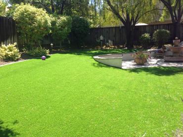 Artificial Grass Photos: Grass Carpet Scottsdale, Arizona Landscape Design, Backyard Landscaping Ideas