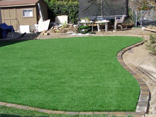 Artificial Grass Photos: Grass Installation Cheyenne, Wyoming Landscape Design, Backyard Landscape Ideas