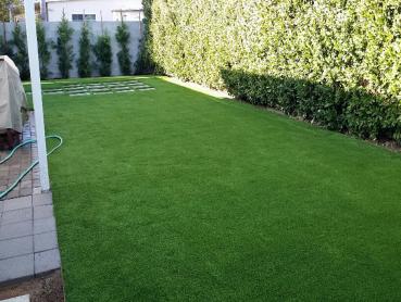 Artificial Grass Photos: Grass Installation East Norwalk, Connecticut Dogs, Backyard Landscape Ideas