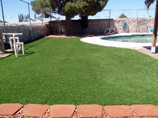 Artificial Grass Photos: Grass Installation Maple Grove, Minnesota Fake Grass For Dogs, Pool Designs