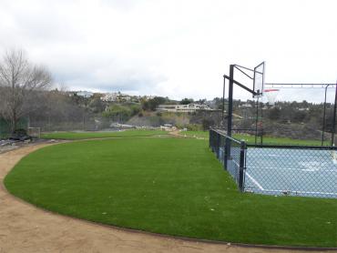 Artificial Grass Photos: Grass Installation Metropolitan Government of Nashville-Davidson (balance), Tennessee Athletic Playground, Commercial Landscape