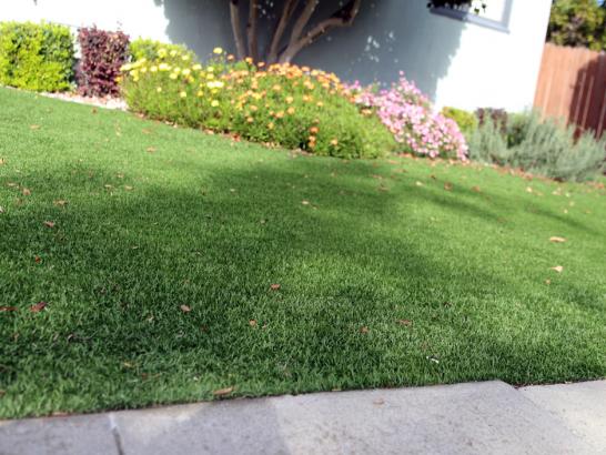 Artificial Grass Photos: Grass Installation Millcreek, Utah Rooftop, Front Yard Design