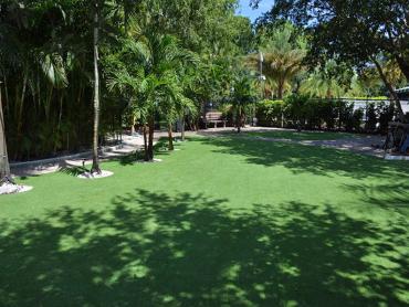 Artificial Grass Photos: Grass Installation Santa Clarita, California Design Ideas, Commercial Landscape