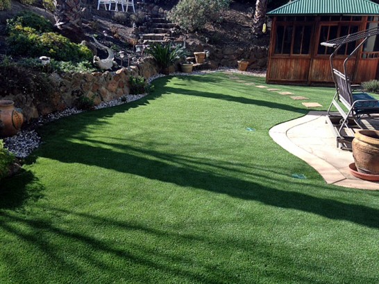 Artificial Grass Photos: Grass Installation Woodland, California Landscaping, Backyard Ideas