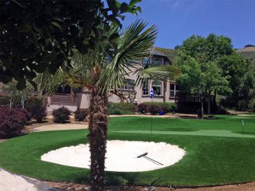 Artificial Grass Photos: Grass Turf Bakersfield, California Landscape Ideas, Front Yard Landscaping