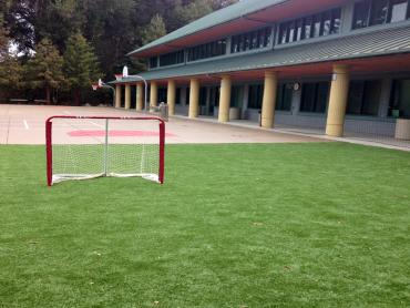 Artificial Grass Photos: Grass Turf Clovis, California Bocce Ball Court, Commercial Landscape