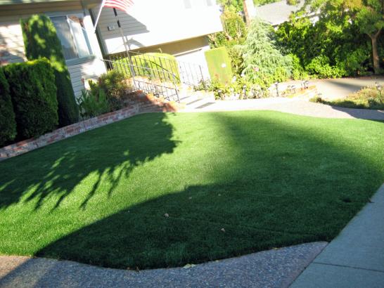 Artificial Grass Photos: Grass Turf Evanston, Illinois Landscaping, Front Yard Landscaping