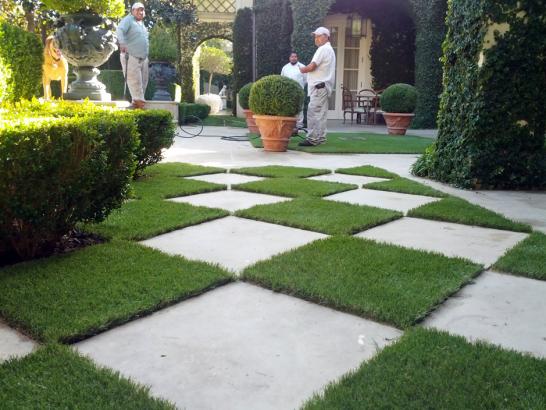 Artificial Grass Photos: Grass Turf Harlingen, Texas Landscaping Business, Pavers